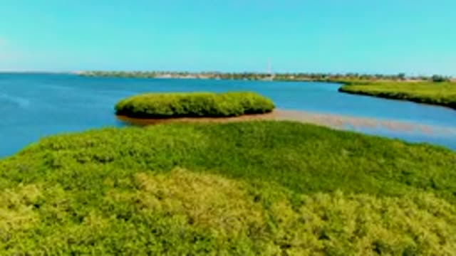 SAN CARLOS BCS MEXICO-2022: Aerial Flight Over Mangrove Islands and Estuary