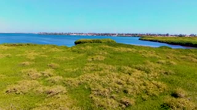 SAN CARLOS BCS MEXICO-2022: Grassy Coastal Terrain with Ocean and Distant Buildings