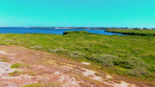 SAN CARLOS BCS MEXICO-2022: Coastal Grassy Terrain with Sandy Patches near Water
