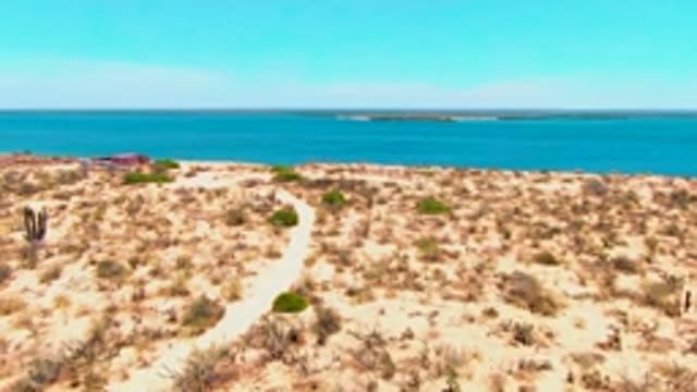 SAN CARLOS BCS MEXICO-2022: Desert Path Winding Toward Coastal Water