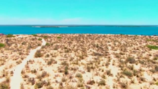 SAN CARLOS BCS MEXICO-2022: Sandy Desert Path with Cacti and Distant Lake