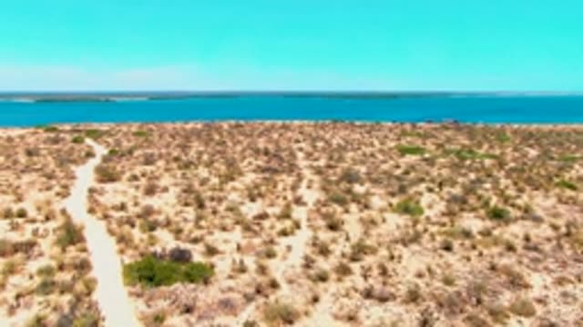 SAN CARLOS BCS MEXICO-2022: Desert Path Leading to Coastal Water