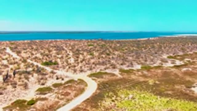 SAN CARLOS BCS MEXICO-2022: Dirt Road Winding Through Arid Desert Landscape