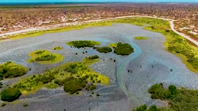 SAN CARLOS BCS MEXICO-2022: Wetland with Green Patches and Shallow Water