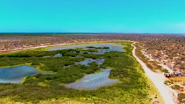 SAN CARLOS BCS MEXICO-2022: Receding Wetland Waters and Roadside Vehicle