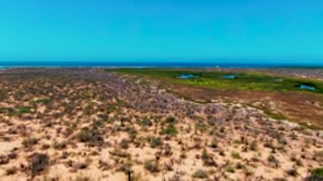 SAN CARLOS BCS MEXICO-2022: Sandy Coastline with Marshes and Sparse Vegetation