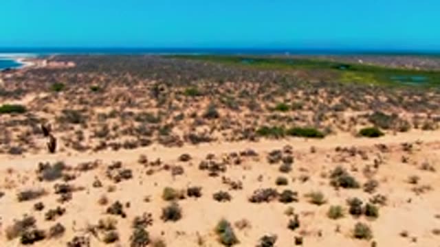 SAN CARLOS BCS MEXICO-2022: Desert Dunes and Coastal Wetland Aerial Pan