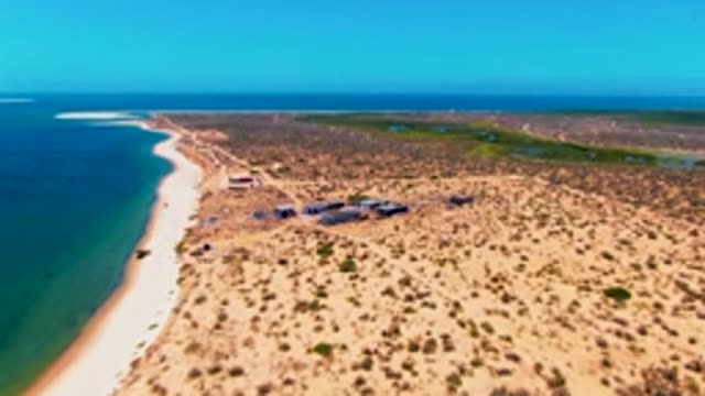 SAN CARLOS BCS MEXICO-2022: Person Walking Along Sandy Beach