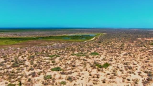 SAN CARLOS BCS MEXICO-2022: Desert Landscape with Small Water and Moving Object