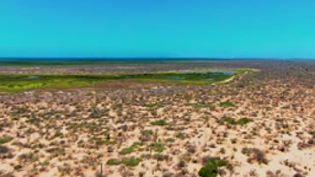 SAN CARLOS BCS MEXICO-2022: Desert Wetland and Sparse Vegetation