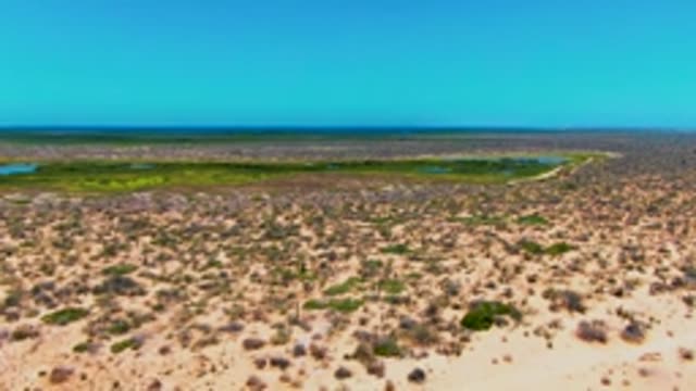 SAN CARLOS BCS MEXICO-2022: Desert Wetland with Sparse Vegetation and Clear Sky