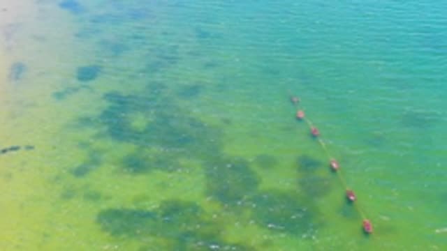 SAN CARLOS BCS MEXICO-2022: Red Buoys Drifting in Shallow Clear Water