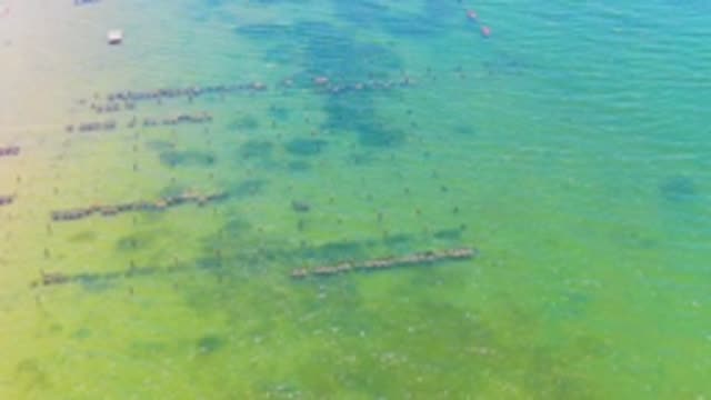 SAN CARLOS BCS MEXICO-2022: Coastal Aquaculture Farm in Shallow Water