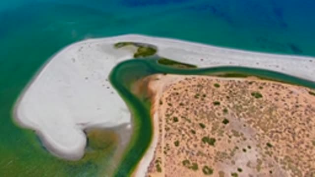 SAN CARLOS BCS MEXICO-2022: Coastal Sandbar and Green Water Channel with Sparse Vegetation