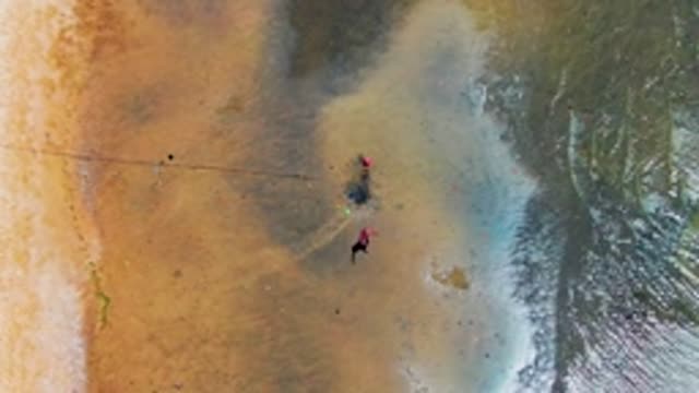 SAN CARLOS BCS MEXICO-2022: Person Moving Along Wet Beach Shoreline