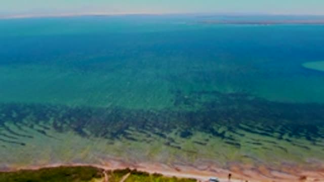 SAN CARLOS BCS MEXICO-2022: Coastal Waters with Seagrass and Distant Land
