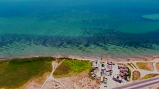 SAN CARLOS BCS MEXICO-2022: Coastal Shoreline with Clear Ocean and Dunes
