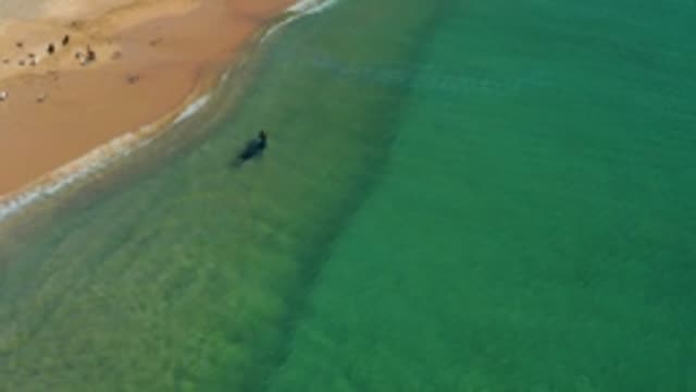 LOS FRAILES LOS CABOS BCS MEXICO-2022: A Person Swimming in Shallow Ocean near Sandy Beach
