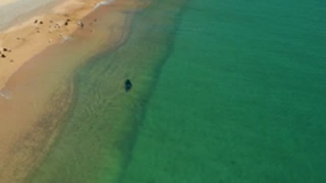 LOS FRAILES LOS CABOS BCS MEXICO-2022: Swimmer Moving Through Shallow Turquoise Water near Sandy Beach