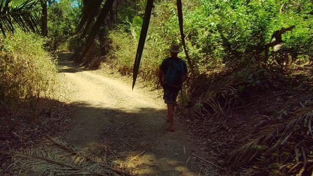 SAN PANCHO NAYARIT MEXICO-2022: Hiker Walking on Forest Trail with Child