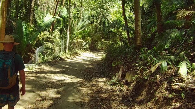 SAN PANCHO NAYARIT MEXICO-2022: Hiker Moving Along Forest Path