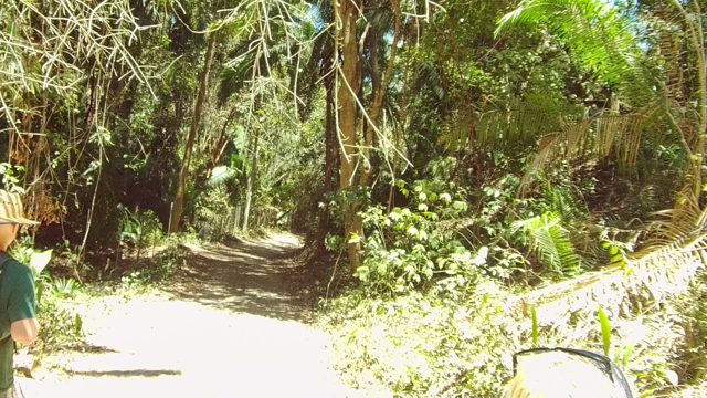 SAN PANCHO NAYARIT MEXICO-2022: People Walking Along a Forest Trail