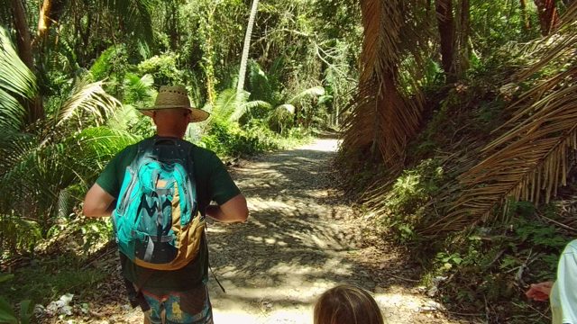 SAN PANCHO NAYARIT MEXICO-2022: Hikers Traversing a Shaded Forest Path