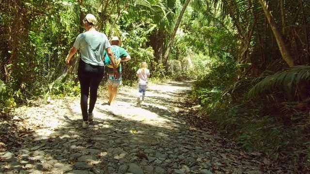 SAN PANCHO NAYARIT MEXICO-2022: Group Walking Along a Forest Stone Path