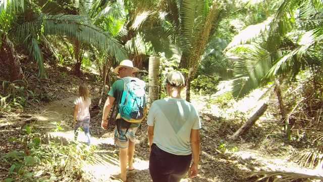 SAN PANCHO NAYARIT MEXICO-2022: Three People Hiking on a Jungle Path