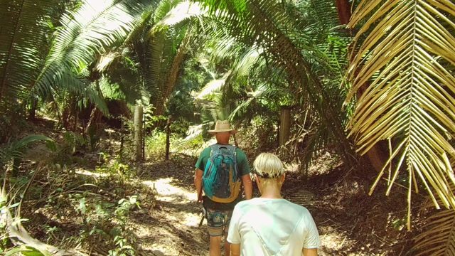 SAN PANCHO NAYARIT MEXICO-2022: People Walking Through Dense Forest Path