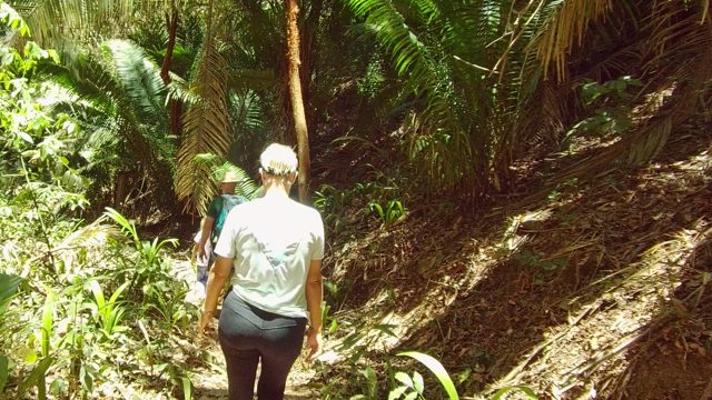 SAN PANCHO NAYARIT MEXICO-2022: People Walking Along a Forest Trail