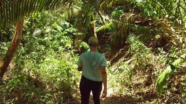 SAN PANCHO NAYARIT MEXICO-2022: Person Walking Through Dense Jungle Foliage