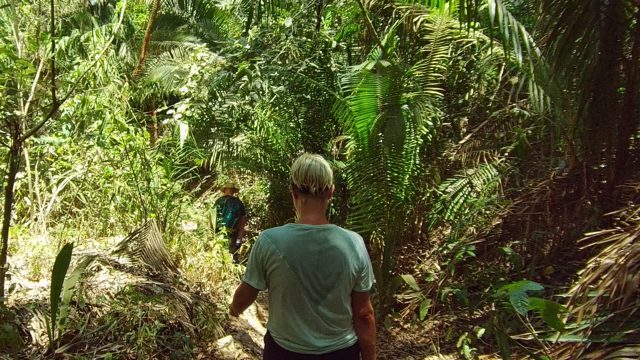 SAN PANCHO NAYARIT MEXICO-2022: Hikers Walking Through Dense Tropical Forest