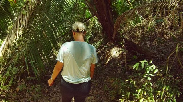 SAN PANCHO NAYARIT MEXICO-2022: A Person Walking Through Lush Tropical Forest Path