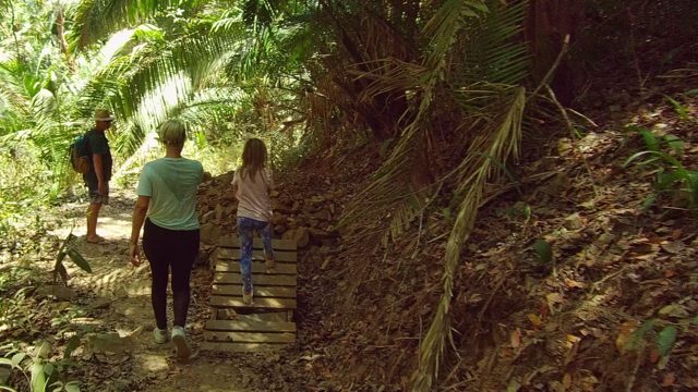 SAN PANCHO NAYARIT MEXICO-2022: Hikers Walking Through Dense Forest Trail