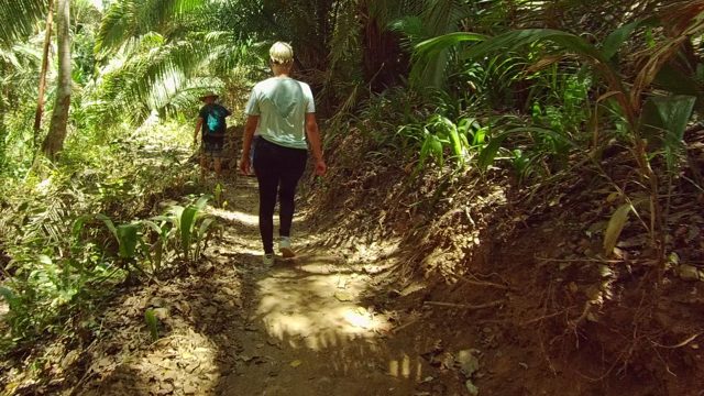 SAN PANCHO NAYARIT MEXICO-2022: Two Hikers Walking Through Dense Jungle Path