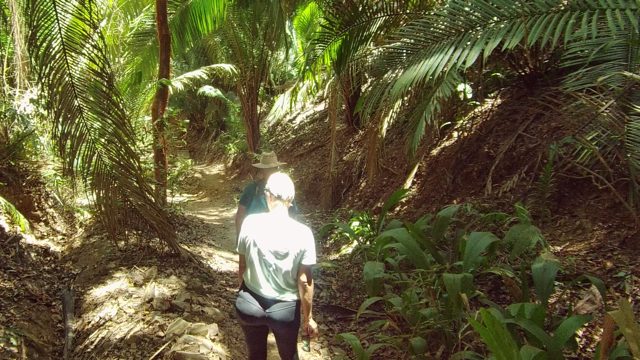 SAN PANCHO NAYARIT MEXICO-2022: Two People Walking on a Forest Trail