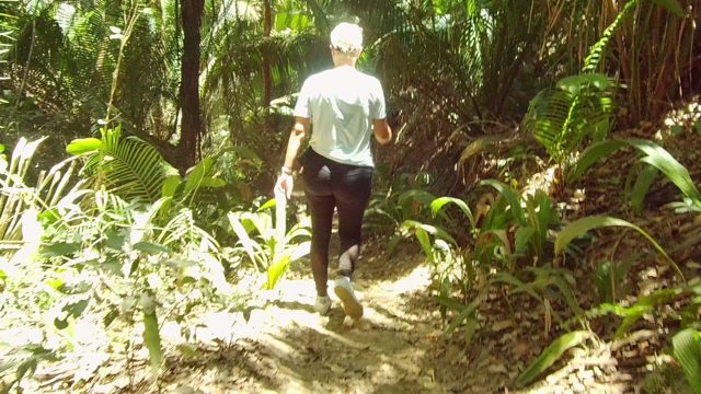 SAN PANCHO NAYARIT MEXICO-2022: Person Walking Through Dense Forest Trail