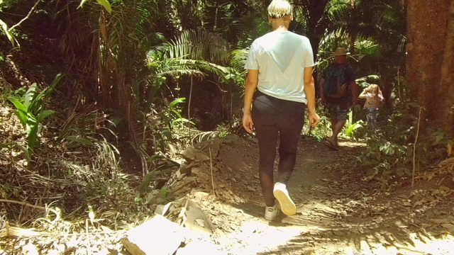 SAN PANCHO NAYARIT MEXICO-2022: Hikers Walking Along a Forest Path