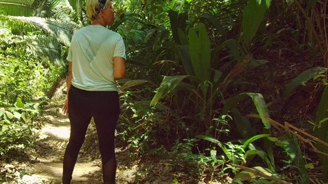 SAN PANCHO NAYARIT MEXICO-2022: Hikers Traversing a Lush Forest Path