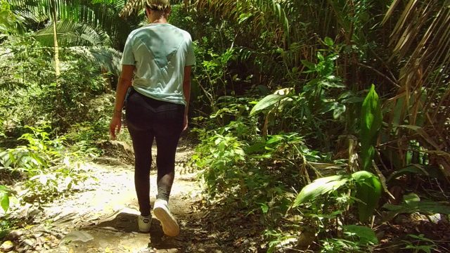 SAN PANCHO NAYARIT MEXICO-2022: Hikers Walking Along a Forest Trail