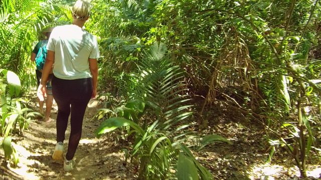 SAN PANCHO NAYARIT MEXICO-2022: Two Hikers Walking Through Lush Forest Trail