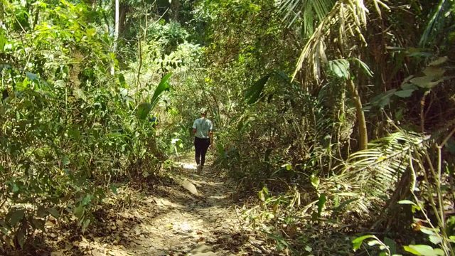 SAN PANCHO NAYARIT MEXICO-2022: Person Walking Along Forest Trail