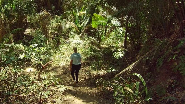 SAN PANCHO NAYARIT MEXICO-2022: Person Walking Through Dense Forest Trail
