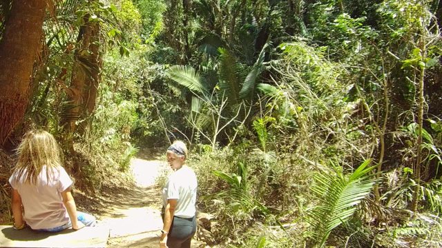 SAN PANCHO NAYARIT MEXICO-2022: Two People Walking Along a Forest Trail