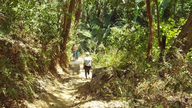 SAN PANCHO NAYARIT MEXICO-2022: Two People Climbing Wooden Steps in Dense Forest