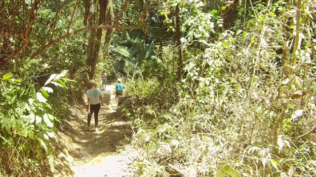 SAN PANCHO NAYARIT MEXICO-2022: Hikers Traversing a Sun-Dappled Forest Path