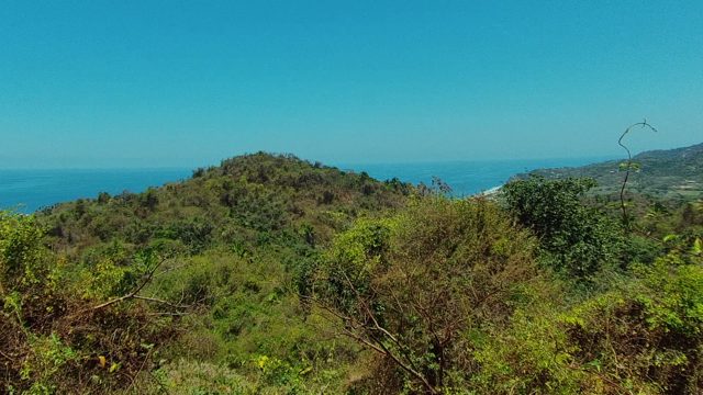 SAN PANCHO NAYARIT MEXICO-2022: Hillside Pan Revealing Ocean and Forested Landscape