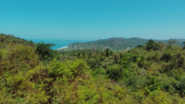 SAN PANCHO NAYARIT MEXICO-2022: Panning View of Coastal Hills and Ocean From Forested Vantage