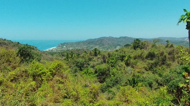SAN PANCHO NAYARIT MEXICO-2022: Dense Forest Overlooking Coastal Beach and Ocean